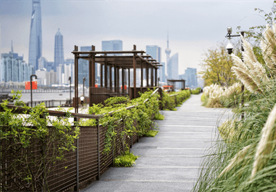 AG8����_AG8���޼��š�(�й���)�ٷ���վ