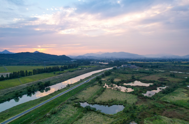 AG8����_AG8���޼��š�(�й���)�ٷ���վ