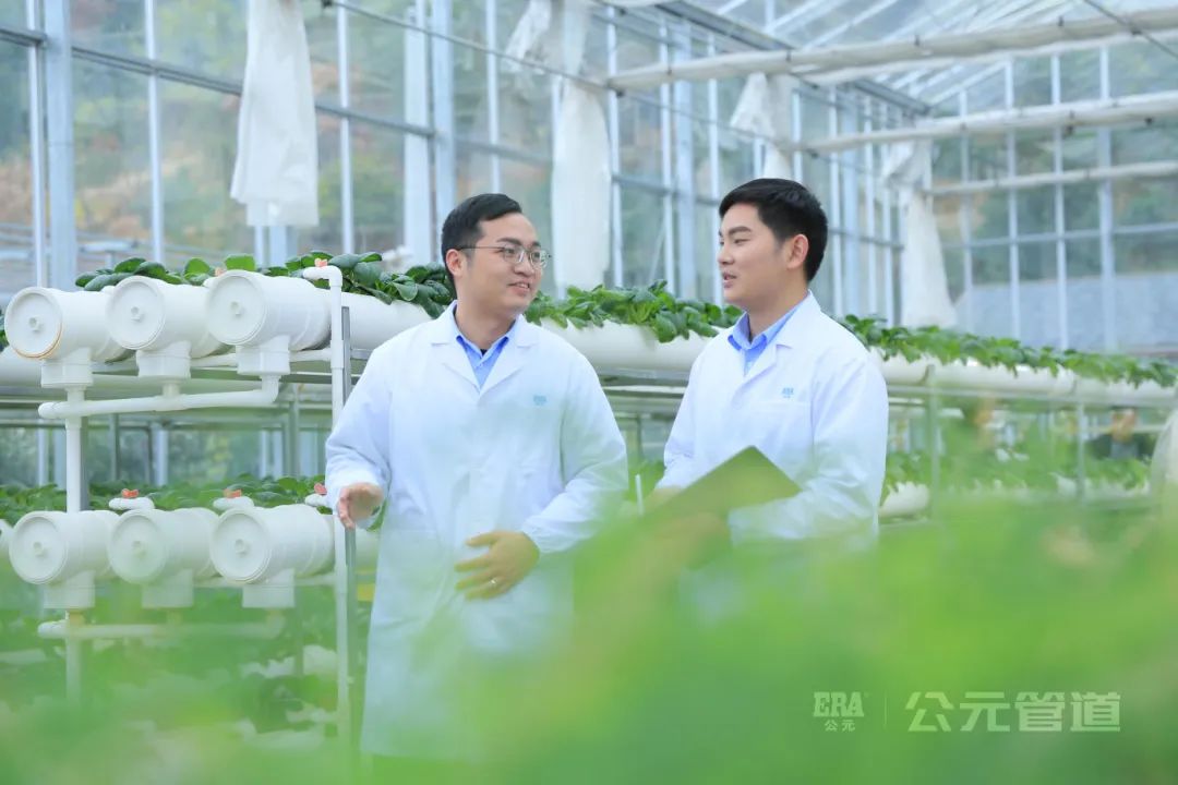 AG8����_AG8���޼��š�(�й���)�ٷ���վ