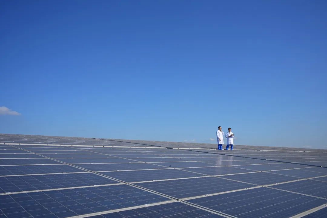 AG8����_AG8���޼��š�(�й���)�ٷ���վ